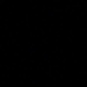 Meet your Posher, Kinsey